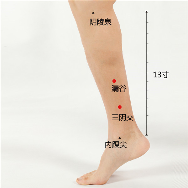 1660138466698354.jpg yin陵泉、漏谷、三阴交、内踝尖.jpg