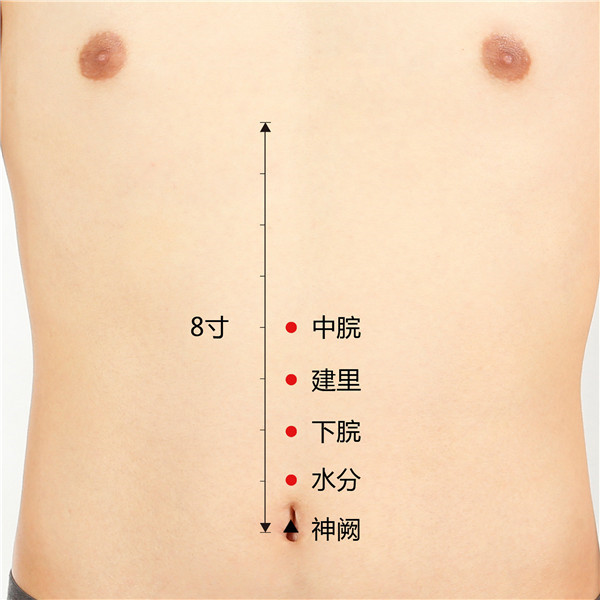 1660138571193562.jpg 中脘、建里、下脘、水分、神阙.jpg