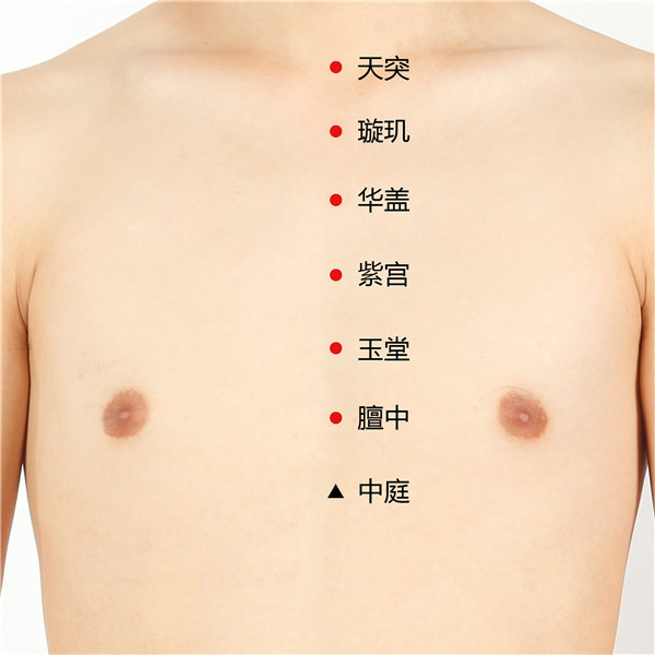 1660138668672922.jpg 天突、璇玑、华盖、紫宫、玉堂、膻中、中庭.jpg