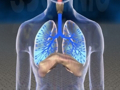 用艾艾贴如何调理呼吸系统？
