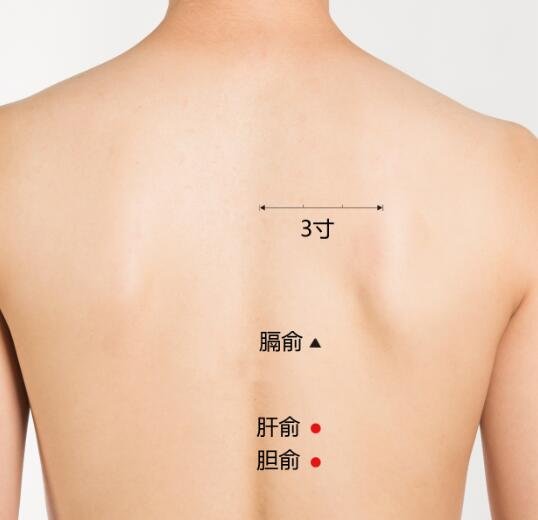 艾艾贴胆俞穴位置图