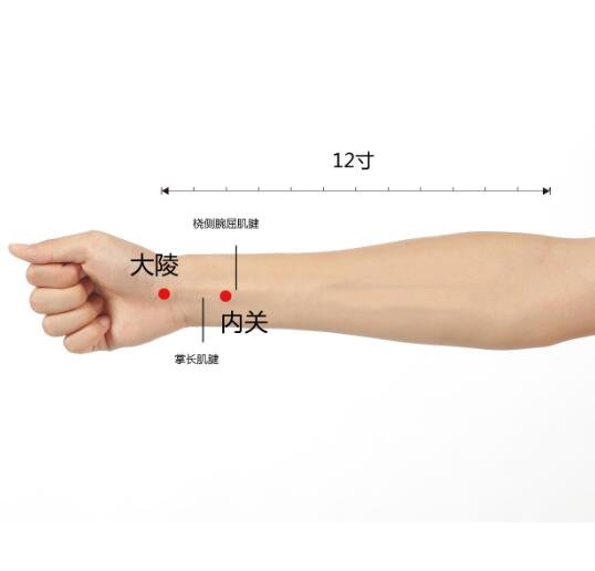 艾艾贴内关穴位置图