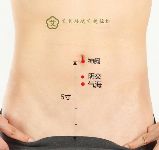 艾艾贴气海穴位置图 艾艾贴气海穴位置图