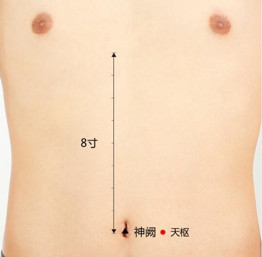 艾艾贴天枢穴位置图 艾艾贴天枢穴位置图