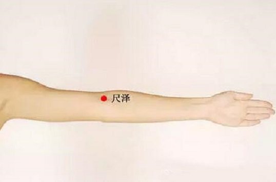艾艾贴尺泽穴位置图 艾艾贴尺泽穴位置图