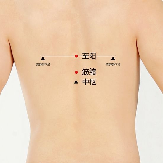 艾艾贴泽红总代微信