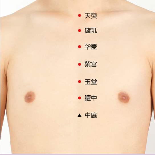 艾艾贴冬至进补,春天打虎 艾艾贴冬至进补,春天打虎