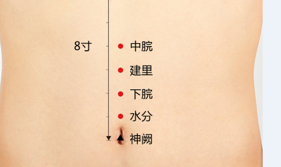 艾艾贴泽红总代微信