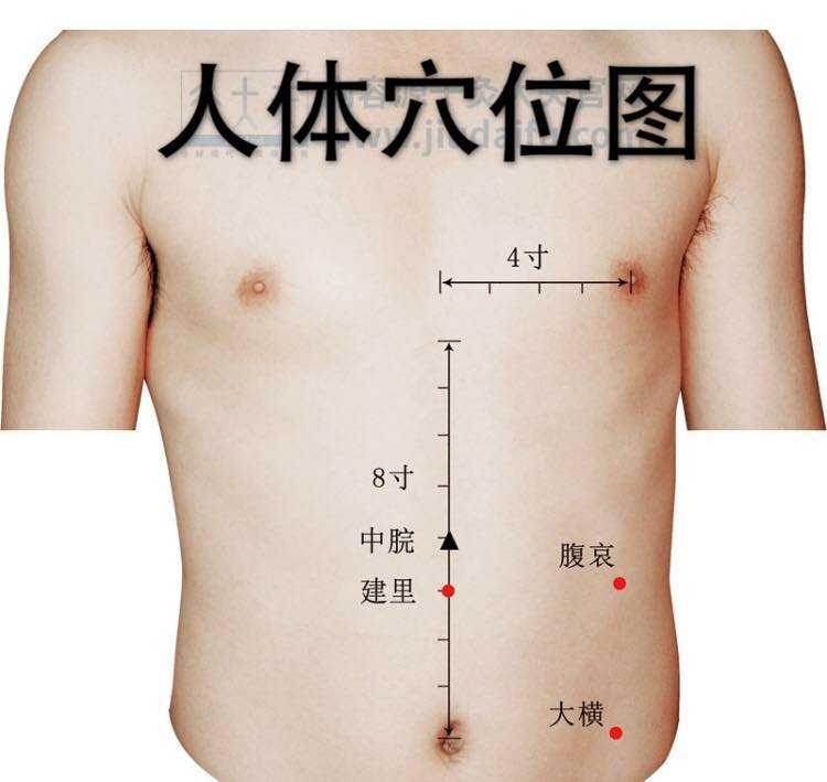 艾艾贴足三里位置图