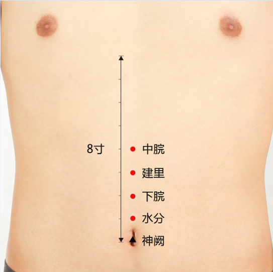 艾艾贴冬至进补,春天打虎 艾艾贴冬至进补,春天打虎