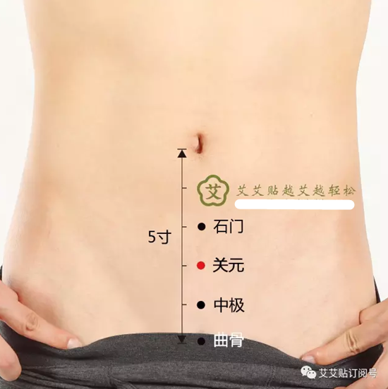 艾艾贴冬至进补,春天打虎 艾艾贴冬至进补,春天打虎