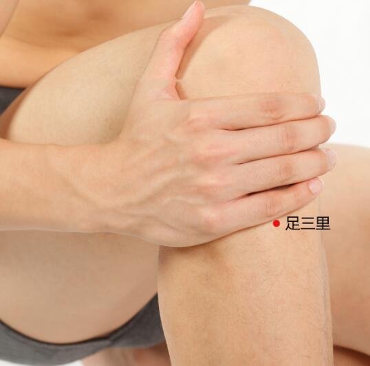 艾艾贴足三里位置图片 艾艾贴足三里位置图片