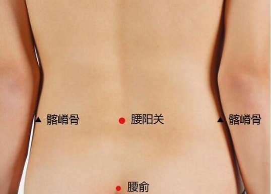 艾艾贴关元穴位置图