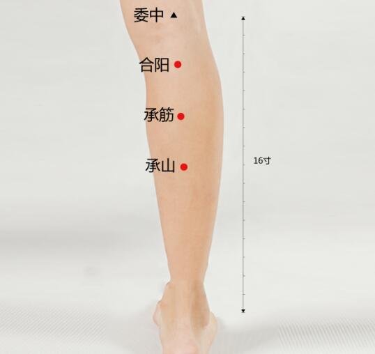 艾艾贴脾俞穴位置图