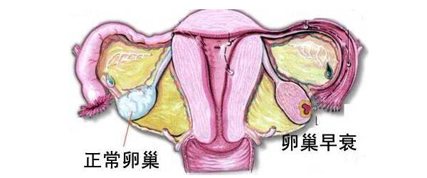 艾艾贴能不能调理多梦的情况？